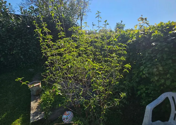 Ferienhaus La Fer D'art